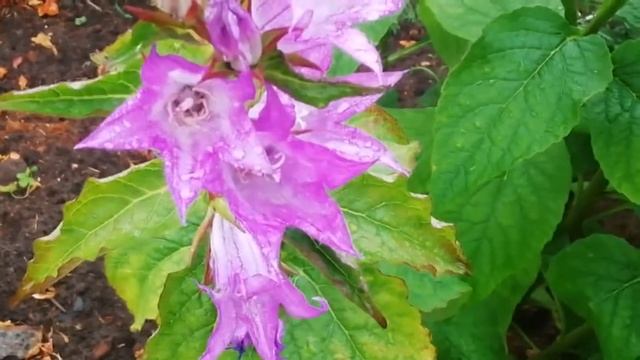 Самый лучший день смотреть онлайн