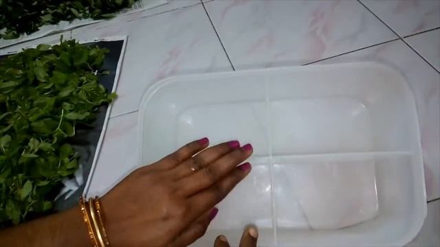 TIPS TO CLEAN & STORE CURRY,CORIANDER,MINT LEAVES,GINGER & LEMON FOR LONGTIME IN FRIDGE/ONE BOX IDE смотреть онлайн