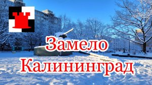 Снег в Калининграде: радость или бедствие?