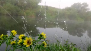 Татьяна Снежина - Мы в этой жизни только гости