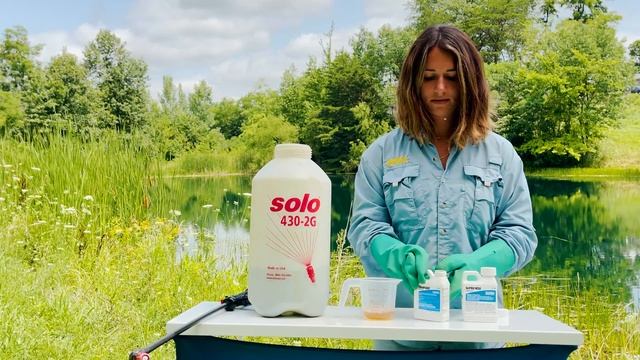 How To Get Rid Of Cattails In 4 Simple Steps - DIY Pond & Lake Management Tutorial смотреть онлайн