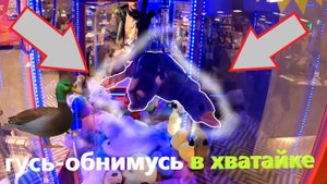 Борюсь за серого ГУСЯ-ОБНИМУСЯ в НОВОМ автомате-хватайке TELEPHONE!!! Получится ли выиграть???