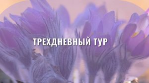 Трехдневный тур