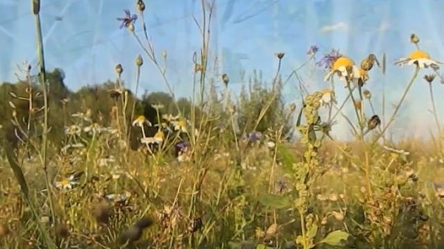 Точен серпень 3 смотреть онлайн