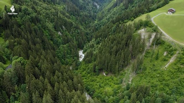 Отличная Расслабляющая Умиротворяющая Музыка 🍀 Целебная Музыка Для Сердца И Кровеносных Сосудов