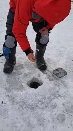 Поимки форели!!!