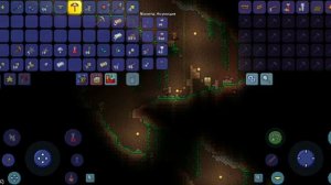 опять терраия!