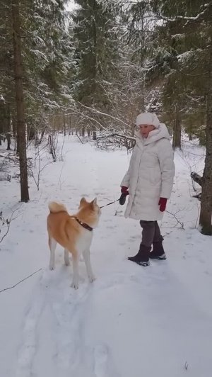 16 февраля | ЛЕС И РЫЖАЯ СОБАКА | НЕ ДЕРЖИТЕ В СЕБЕ | ПО ДУШАМ