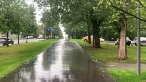 Прогулка по Ореховому проезду, Зябликово, г. Москва, 29.07.2023