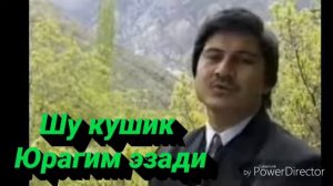 Ши кушик Юрагим эзади