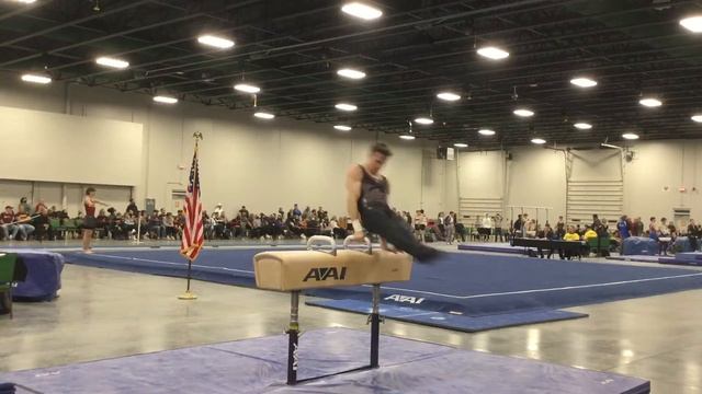 Drew Helberg Pommel Horse at John Roethlisberger Invitational смотреть онлайн