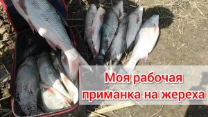 Самая рабочая приманка на жереха. Ловля жереха