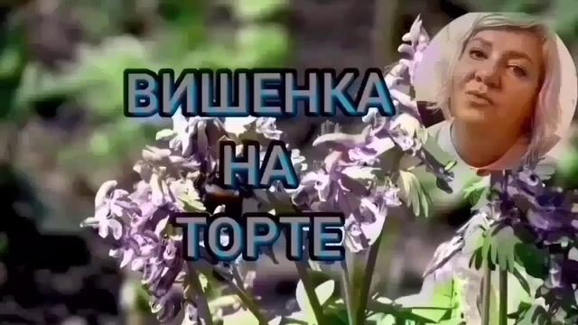 АНЬКУ ЗАСТАВИЛИ РАБОТАТЬ. ANYANASTYA LIFE. ОБЗОР.