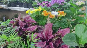 Собираю цветы в магазин .