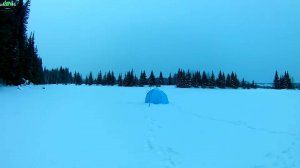Рыбалка на лесном пруду.  Глухозимье. Ловим плотву.