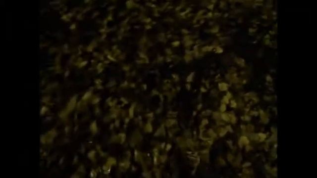 Отравление тригексифенидилом