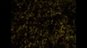 Отравление тригексифенидилом