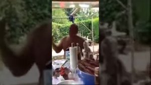 Прикольная песня про Сало!!! 😁😁😁