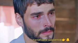 🎵Суруди 🥀эрони  ту хиёнат карди ман халолет кардам