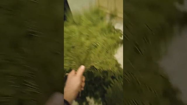 3 января 2023 г. смотреть онлайн