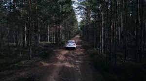 По лесной дороге.