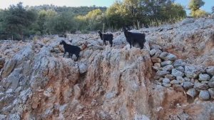 Соло Ликийская тропа Демре_Белорен день#1