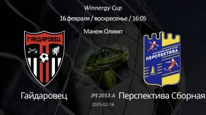 Гайдаровец — Перспектива Сборная 2013 А (6+1) Winnergy Cup 16.02.2025