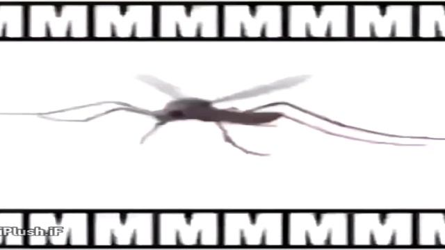 HUMILHANDO COSPOBRE dos Inscritos (ft. TsukiUraya) смотреть онлайн