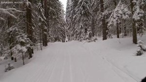 лыжный февраль