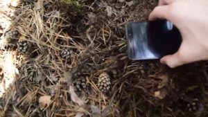 Вызов Духов // Звонок из Ада // Каратели Дотки Архив