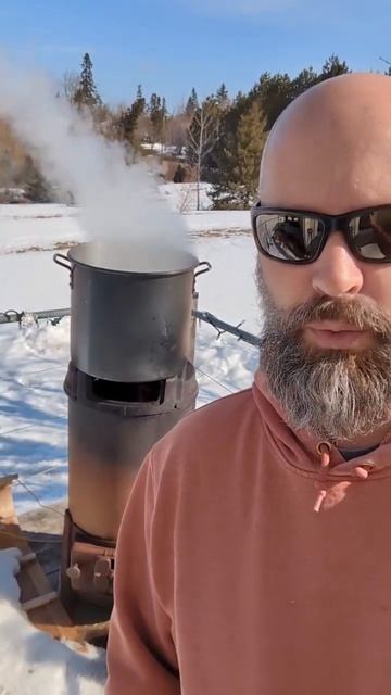 Make your own maple syrup! #youtubeshorts #sugar #maplesyrup #diy смотреть онлайн