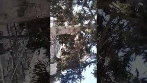 Италия Терни