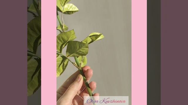 Розочка из фоамирана и холодного фарфора
