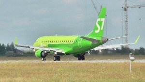 Зелёный малыш из Новосибирска