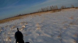 Загонная охота на косулю 2020,часть2.Удачное закрытие.