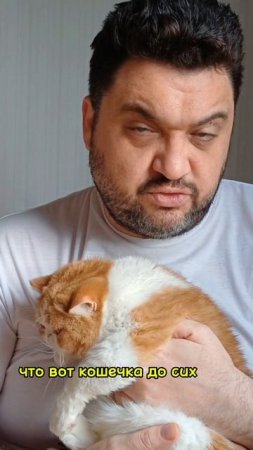 База о котиках ч.1