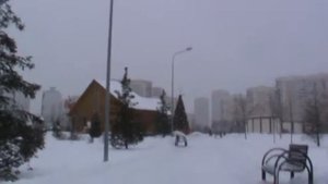 Марьино. Парк Артема  Боровика готов к празднованию Нового года - 24.12.2018 года