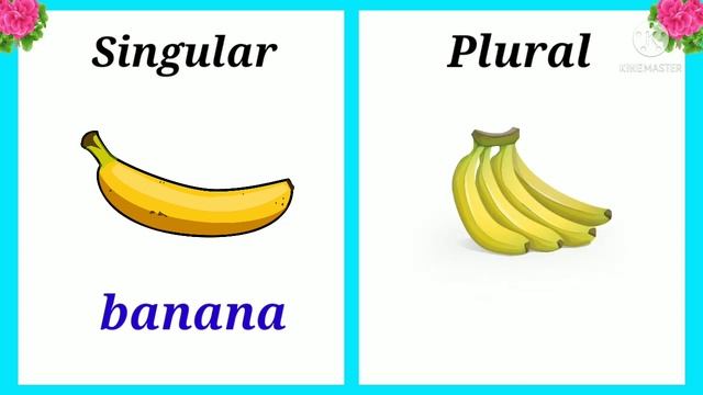 Singular-Plural | Singular-Plural in English
