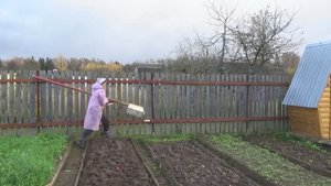 6 соток 31 октября 2020 года. Приключения скворечника.