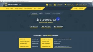 thunderbit.io - видео обзор хайп проекта thunderbit