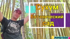 Ботанический сад в Сухуме, прогулялись, увидели старую липу #АБХАЗИЯ
