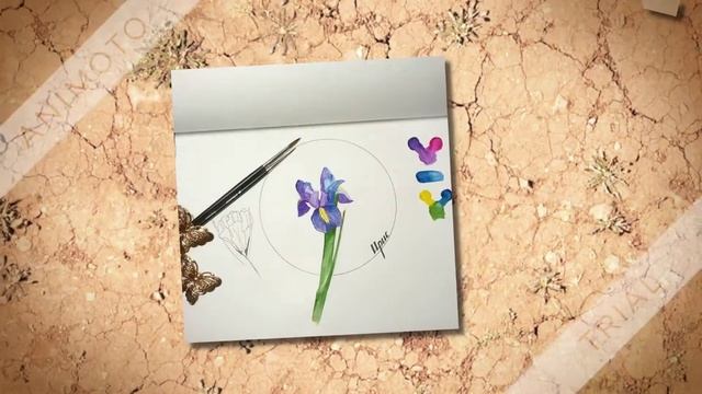 Слайд-шоу за февраль по #ботанический_скетчбук (2ч.) смотреть онлайн