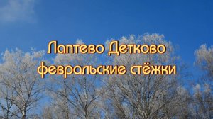 Детково. Февраль 2025.