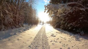 Чермоз №10 Дмитриевское -Желдовка