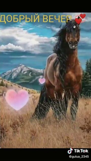 С добрым вечером смотреть онлайн