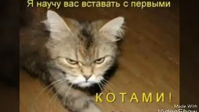 Песня крутая смотреть онлайн