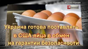 Украина готова поставлять в США яйца в обмен на гарантии безопасности
