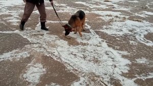 Выборка вещи. ЗКС.