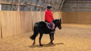 Маша и Наоми, манежная езда 1.2. #horse #equestrian #лошади #pony