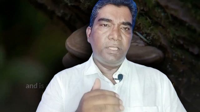 MILK THISTLE amazing benefits for liver | MILK THISTLE के अद्भुतफायदे | By Drx Ambrish Kumar смотреть онлайн